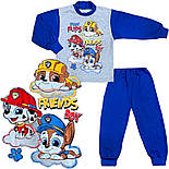 Водолазка і штани Щенячий патруль 04.05.11, фото 5