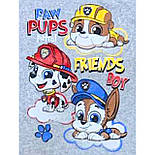 Водолазка і штани Щенячий патруль 04.05.11, фото 3