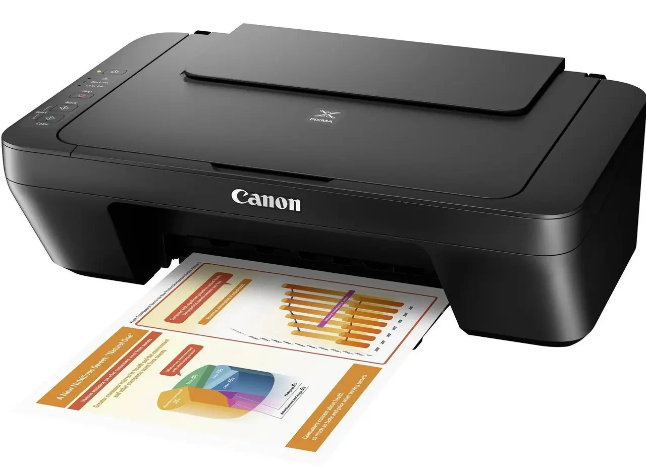 МФУ Canon PIXMA MG2555S, фото 1