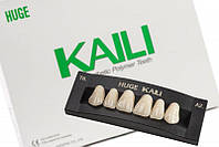 Планка фронтальных верхних зубов Kaili фасон Т-Треугольный 6 шт A3 T10