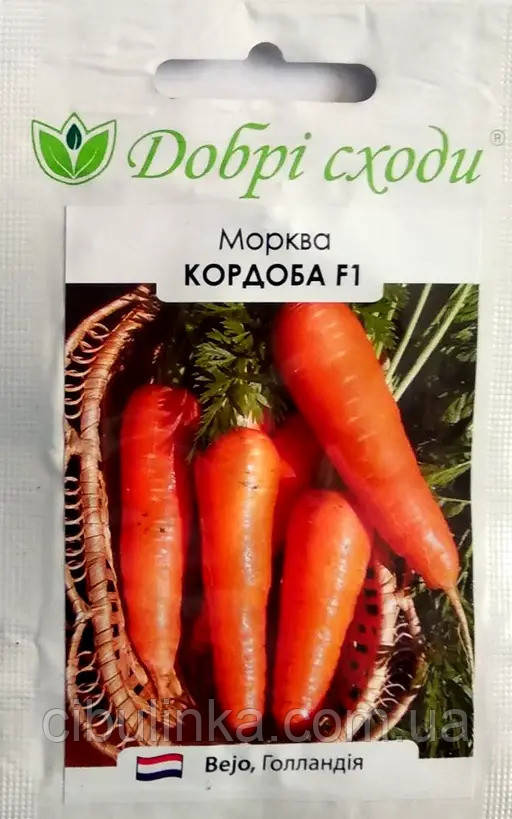 Насіння Морква Кордоба F1 Bejo/Нідерланди 400 шт, фото 1