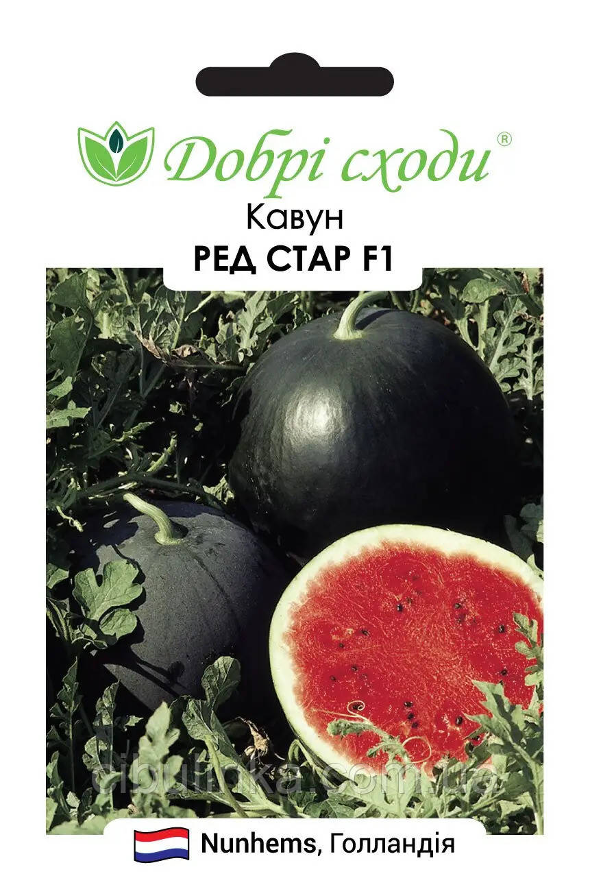 Кавун Ред Стар F1 Nunhems/Нідерланди 5 шт, фото 1