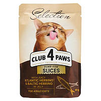 АКЦИЯ -6 Club 4 Paws Premium Влажный корм для кошек с селедкой и салакой в желе 80 гр