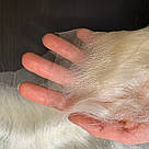 Професійна Борода та вуса Діда Мороза🎅🏼 з натурального волосся, фото 10