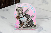 Комплект Котик, шлея с поводком для кошки меланж Объем груди 29-43 см