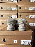 Жіночі угги UGG Coquette Slipper Grey 5125-GREY, фото 7
