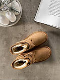 Жіночі уги UGG Neumel Platform Camel 88276, фото 5