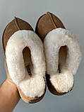 Жіночі угги UGG Disquette Slipper Chestnut 1122550-CHE, фото 6