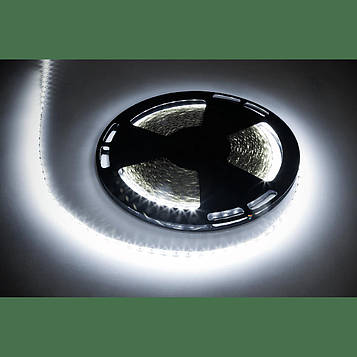 LED-стрічка Rebel 5050 SMD холодний білий 12В IP65