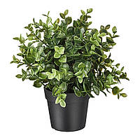 Штучна рослина в горщику, Ikea FEJKA орегано, 9 см