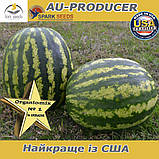 Насіння, кавун АУ-Продюсер / AU Producer ТМ Spark Seeds (США), мішок 5 кг, фото 4