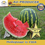 Насіння, кавун АУ-Продюсер / AU Producer ТМ Spark Seeds (США), мішок 5 кг, фото 2