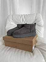 Женские стильные угги Ugg Ultra Mini Mid Platform Grey Suede (серые) модная зимняя обувь art0545 Угги