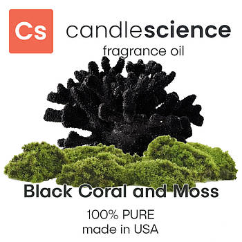 Аромаолія CandleScience - Black Coral and Moss (Чорний корал і мох), 5 мл