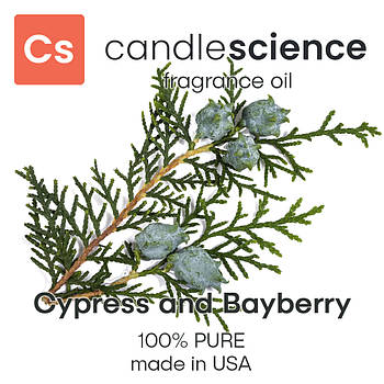 Аромаолія CandleScience - Cypress and Bayberry (Кипарис і бейберрі), 5 мл