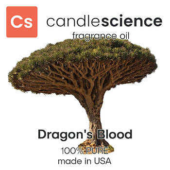 Аромаолія CandleScience - Dragon's Blood (Кров Дракона), 5 мл