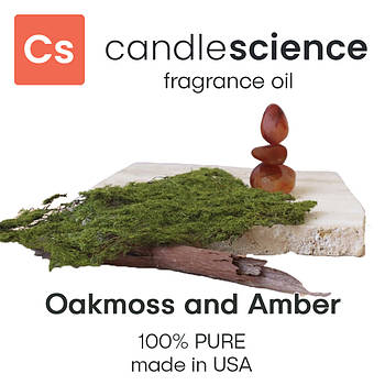 Аромаолія CandleScience - Oakmoss and Amber (Дубовий мох і янтар), 5 мл