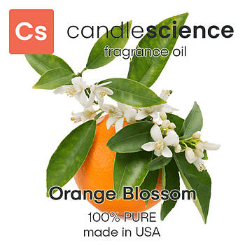 Аромаолія CandleScience - Orange Blossom (Помаранчевий цвіт), 5 мл