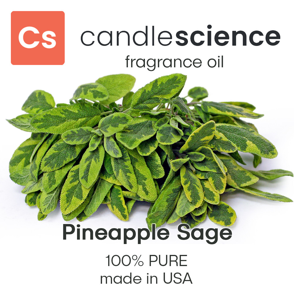 Аромаолія CandleScience - Pineapple Sage (Шавлія ананасова), 5 мл, фото 1