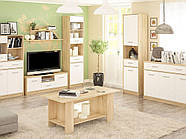 Тумба 1Д1Ш Тіпс, фото 3