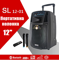Temeisheng SL12-01, два микрофона, 12" | Профессиональная активная акустическая система