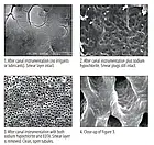 ЕДТА 18% 30мл,№ 162, хелатна рідина для каналів, фото 4