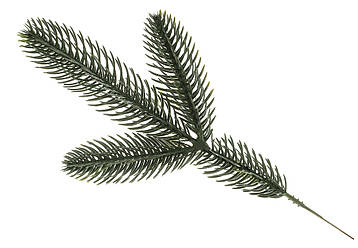 Набір (10 шт.) Гілка лита зелена (3 гілки), 27 см