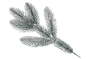 Набір (10 шт.) Гілка лита засніжена блакитна (5 гілок), 30 см