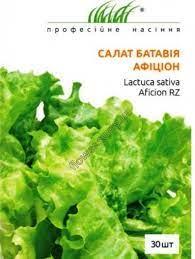 Салат Афіціон, тип Батавія, 30 шт