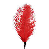 Лоскітка зі страусиним пером  Art of Sex - Feather Tickler, колір Червоний, фото 3