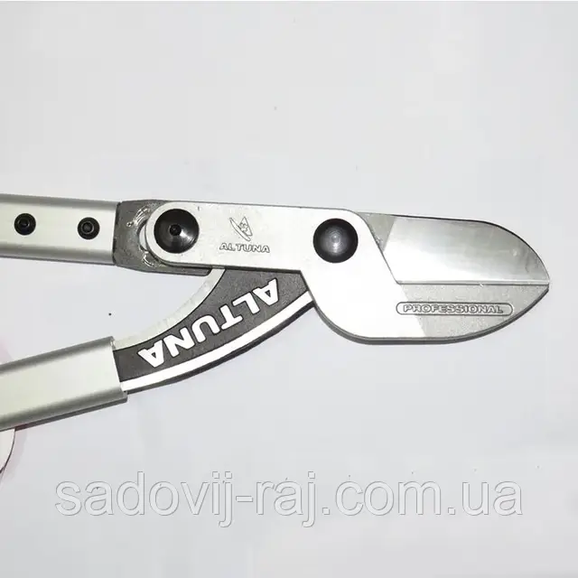 Сумеркидегі Белламен порно