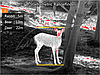 Тепловізор монокуляр Guide TrackIR 50mm 400x300px, фото 11