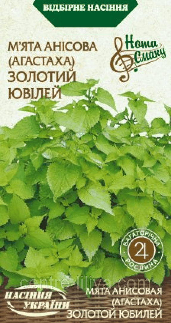 Насіння М'ята Анісова ЗОЛОТИЙ ЮВІЛЕЙ 0,1г (Насіння України)