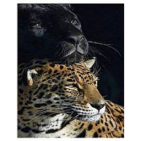Алмазна мозаїка HEG 86057 "Пантера та леопард" 30-40 см