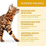 Корм сухий OPTI MEAL для дорослих котів Adult Cat Chicken курка 200 г, фото 6