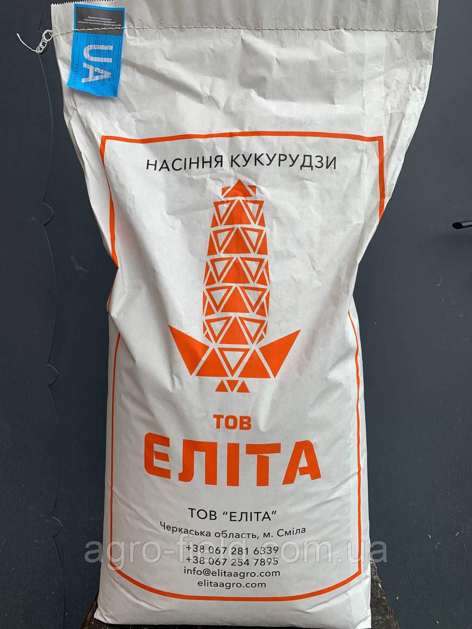 Насіння кукурудзи "Фієста" (ФАО 260) Еліта, фото 1