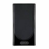 Monitor Audio Gold 100 Piano black, фото 5