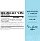 Ancient Nutrition Multi Collagen Joint + Mobility 45 капсул, фото 2