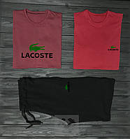 Мужской костюм тройка 2 футболки и шорты Лакост (Lacoste), Турецкий трикотаж, S