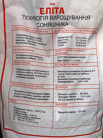 Гібрид соняшника Триб'ют експрес, евролайтинг, фото 2