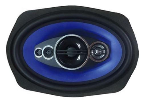 Акустика Celsior CS-6905P