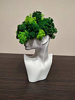 Біле кашпо леді з мохом, ваза з обличчям дівчини зі стабілізованим норвезьким мікс зеленого моху