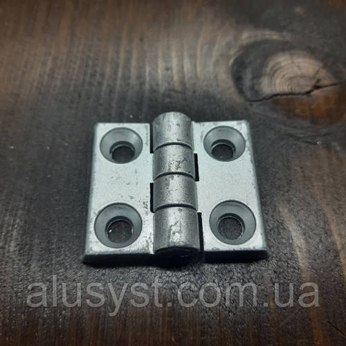 30 серія / Завіса / петля / м6