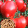 Насіння Томат Будьонівка Червона 0,1 г Насіння України, фото 3
