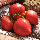 Насіння Томат Будьонівка Червона 0,1 г Насіння України, фото 2