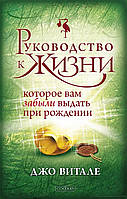 Руководство к жизни, которое вам забыли дать при рождении. Витале Дж.