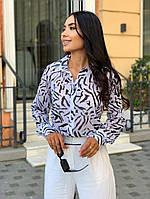 Модна жіноча блузка, прямого кроя з комірцем на полохівках, рукав довгий, з манжетами Супер софт 42-44,46-48