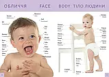 Перша книга малюка/Baby's first book Гуменна Л.М. Талант, фото 5