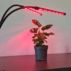 Фітолампа для рослин 2 гілки Plant GrowLight-2 з таймером