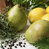 Аромаолія Pear and Thyme Citronella (Груша і чебрець цитронелла)